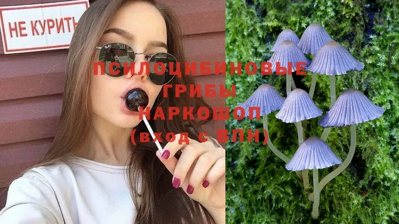 купить  цена  маркетплейс формула  Псилоцибиновые грибы Psilocybe  Агидель 