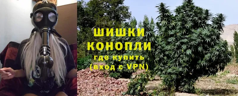 цена   Агидель  Каннабис Bruce Banner 